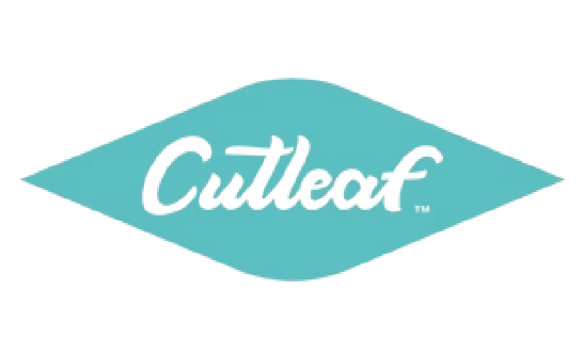 Cutleaf
